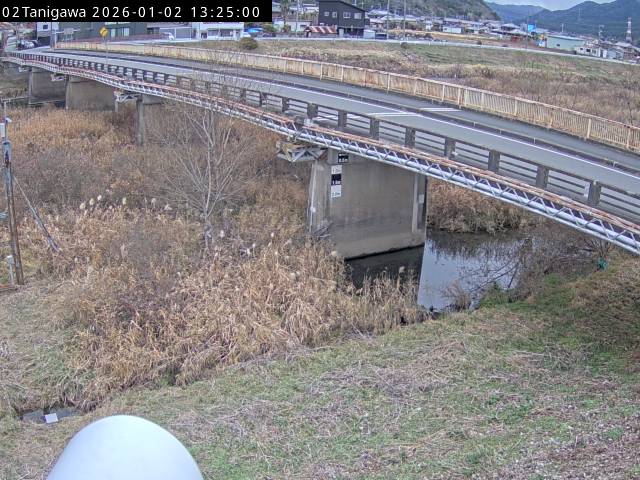 最新監視カメラ画像