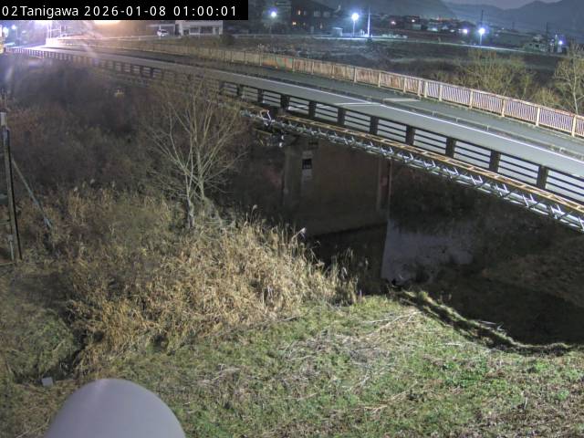 最新監視カメラ画像