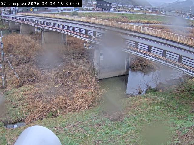 最新監視カメラ画像