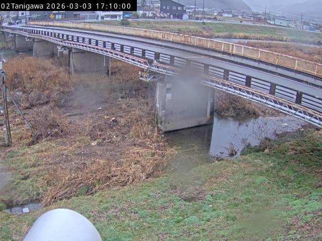 最新監視カメラ画像