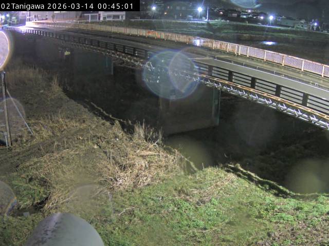 最新監視カメラ画像