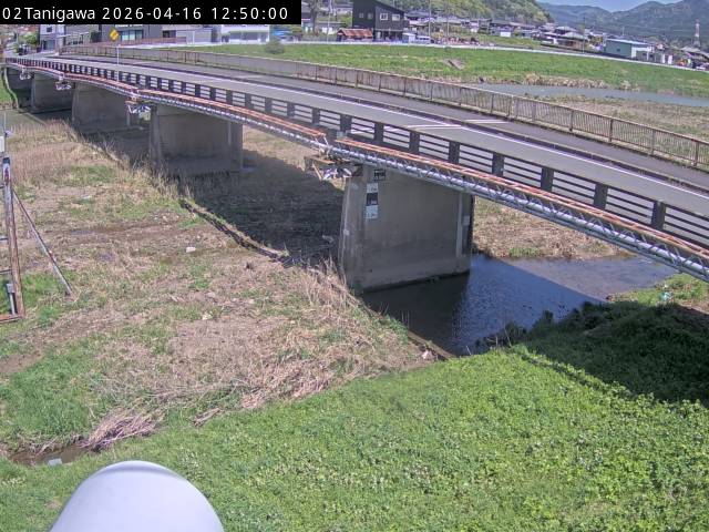 最新監視カメラ画像