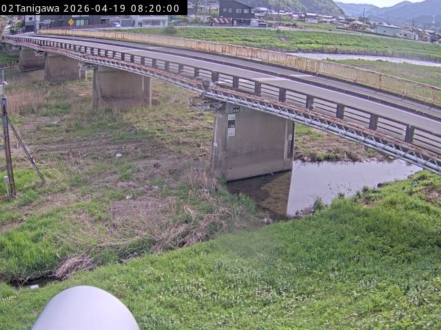 最新監視カメラ画像