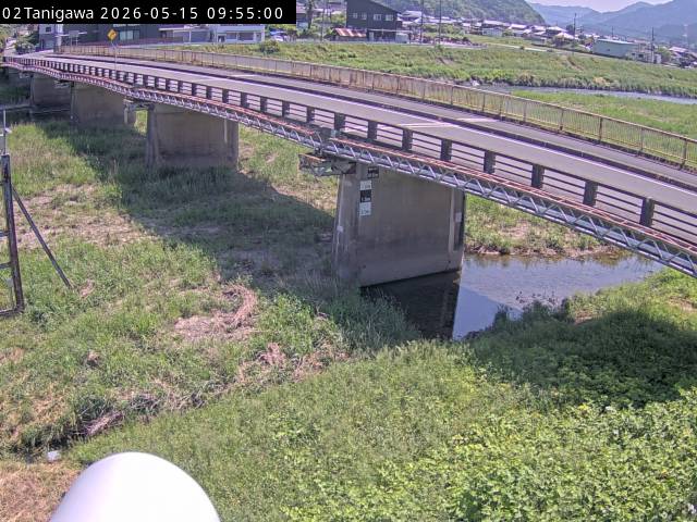 最新監視カメラ画像