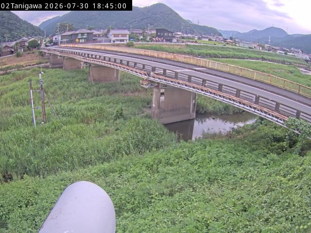 最新監視カメラ画像
