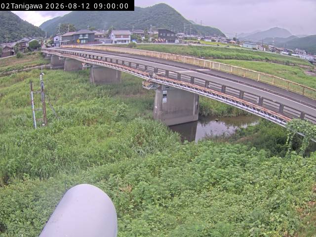 最新監視カメラ画像