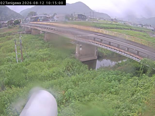 最新監視カメラ画像
