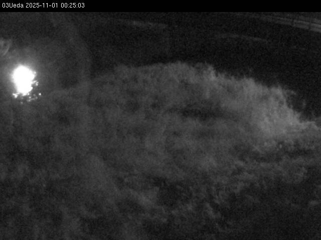 最新監視カメラ画像