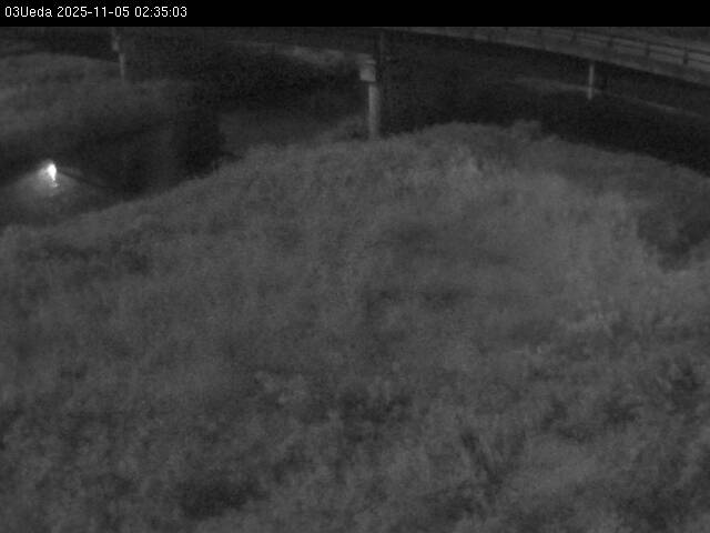 最新監視カメラ画像