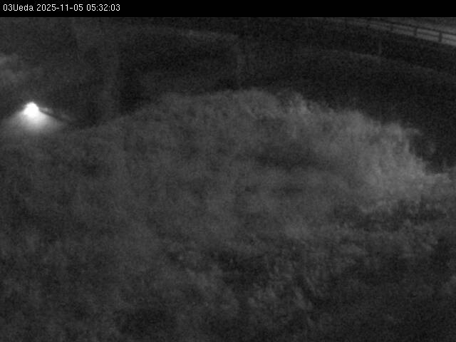 最新監視カメラ画像