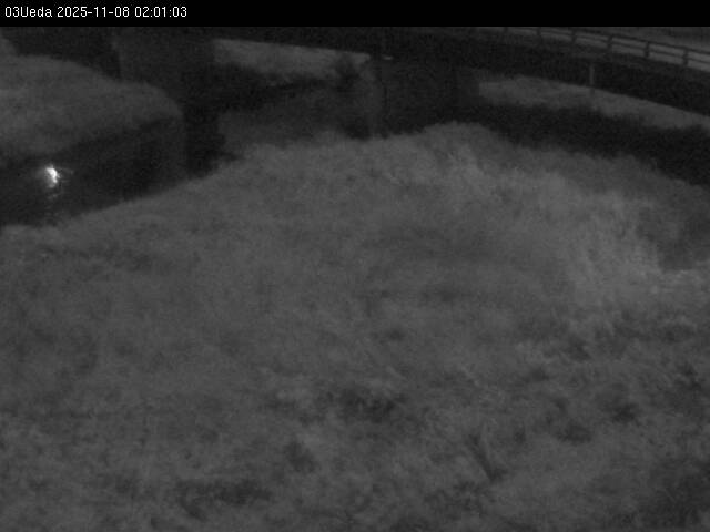 最新監視カメラ画像