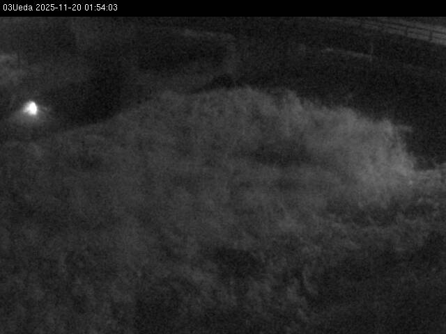 最新監視カメラ画像