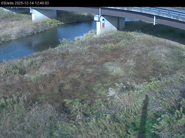 最新監視カメラ画像