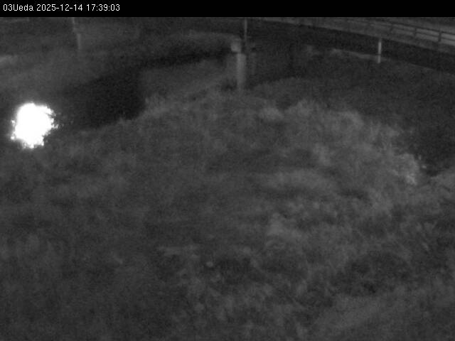 最新監視カメラ画像