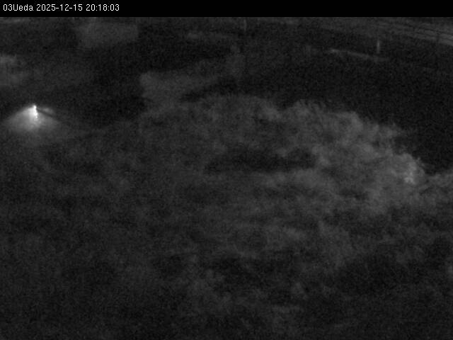 最新監視カメラ画像