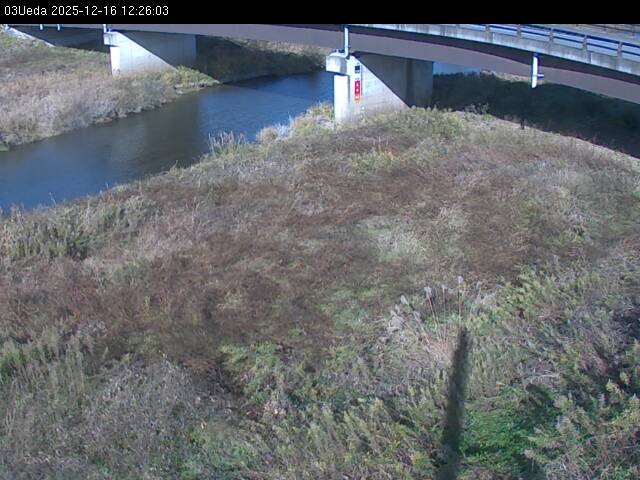 最新監視カメラ画像