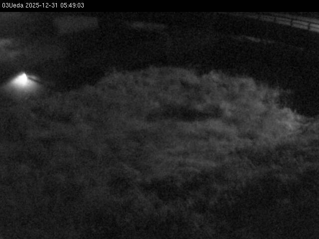 最新監視カメラ画像