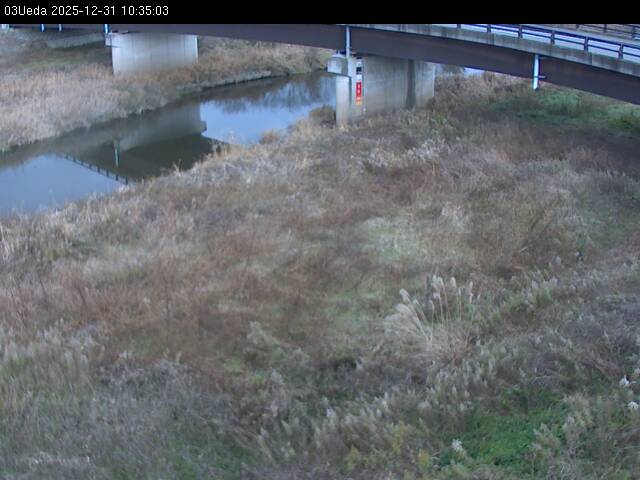 最新監視カメラ画像