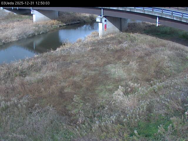 最新監視カメラ画像