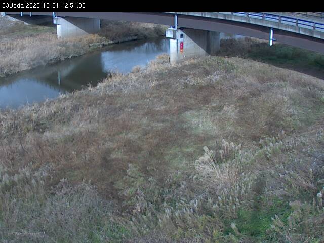 最新監視カメラ画像