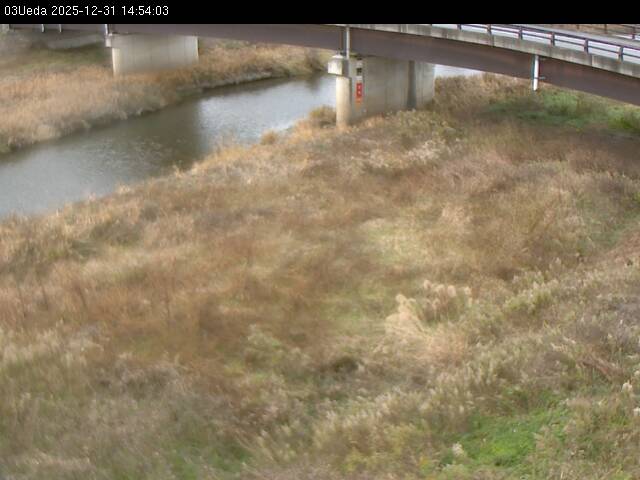 最新監視カメラ画像