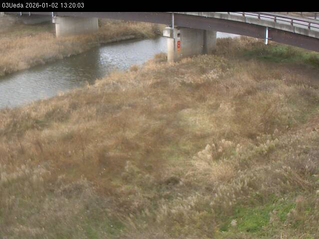 最新監視カメラ画像