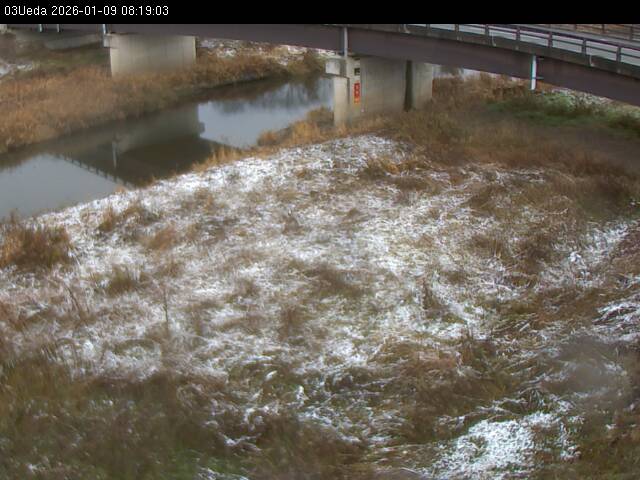 最新監視カメラ画像