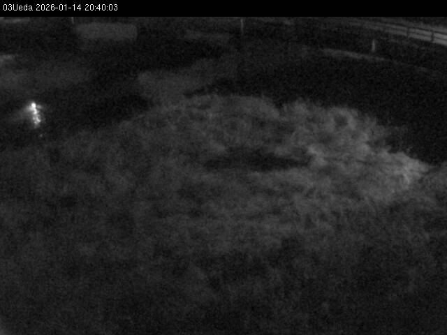 最新監視カメラ画像