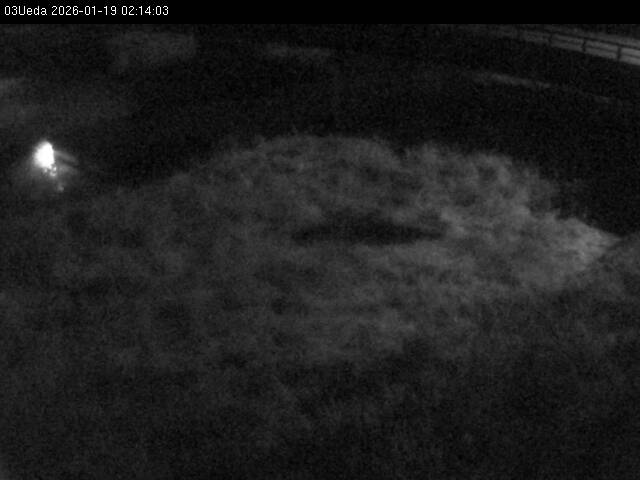 最新監視カメラ画像