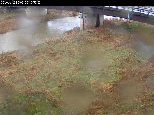 最新監視カメラ画像