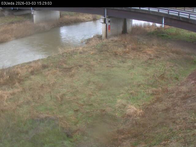 最新監視カメラ画像