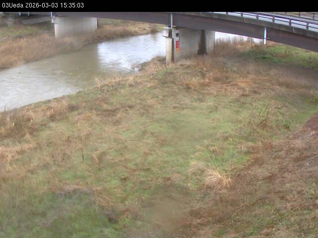 最新監視カメラ画像