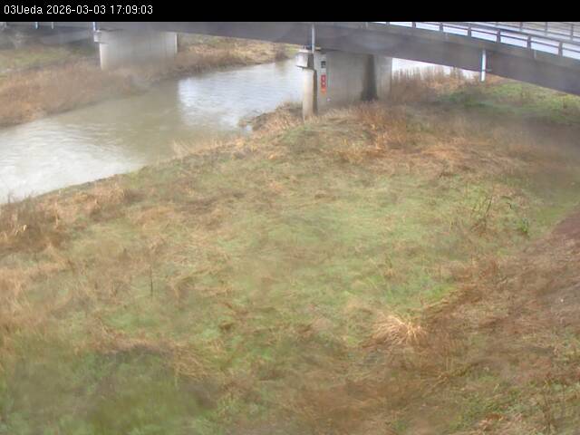 最新監視カメラ画像