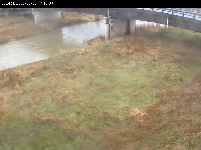 最新監視カメラ画像