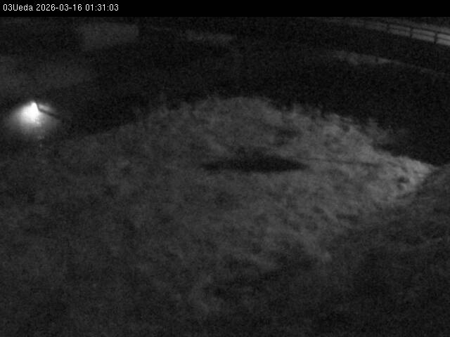 最新監視カメラ画像