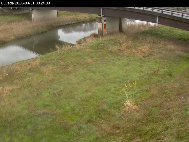 最新監視カメラ画像