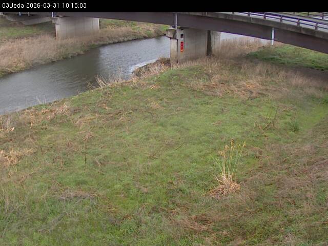 最新監視カメラ画像