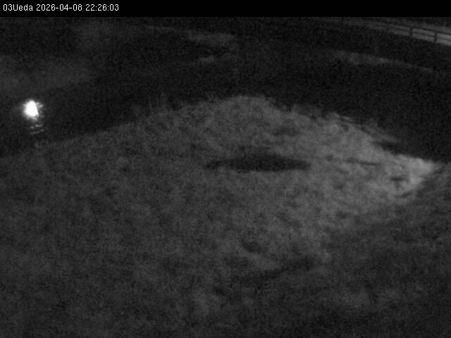 最新監視カメラ画像