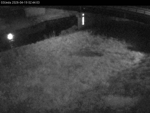 最新監視カメラ画像