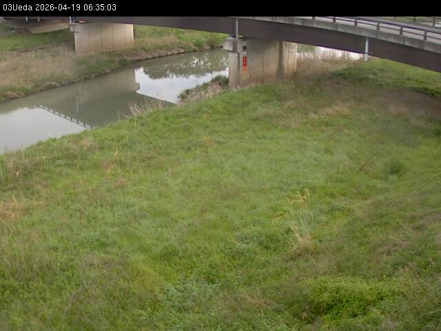 最新監視カメラ画像