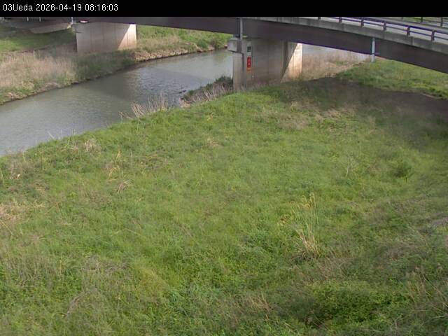 最新監視カメラ画像