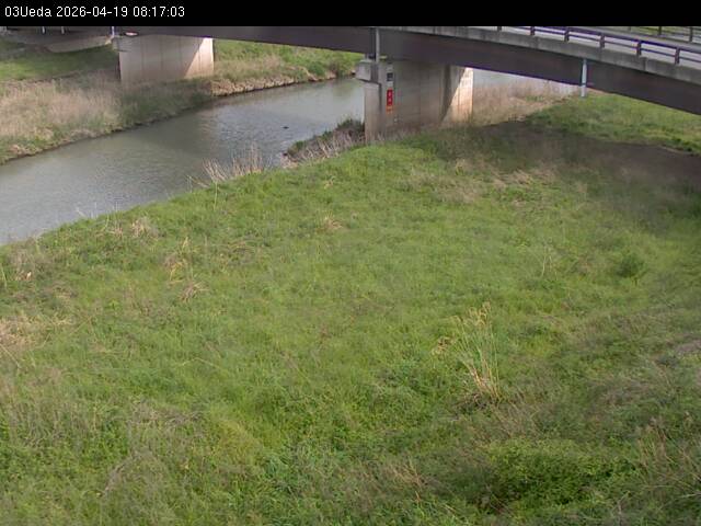 最新監視カメラ画像