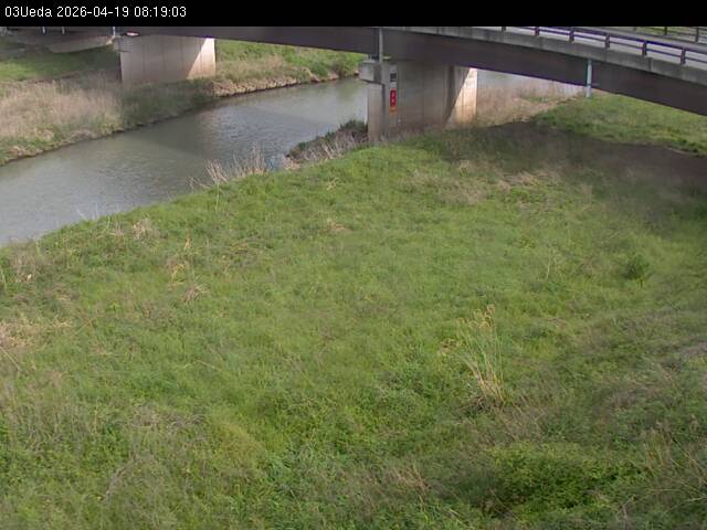 最新監視カメラ画像