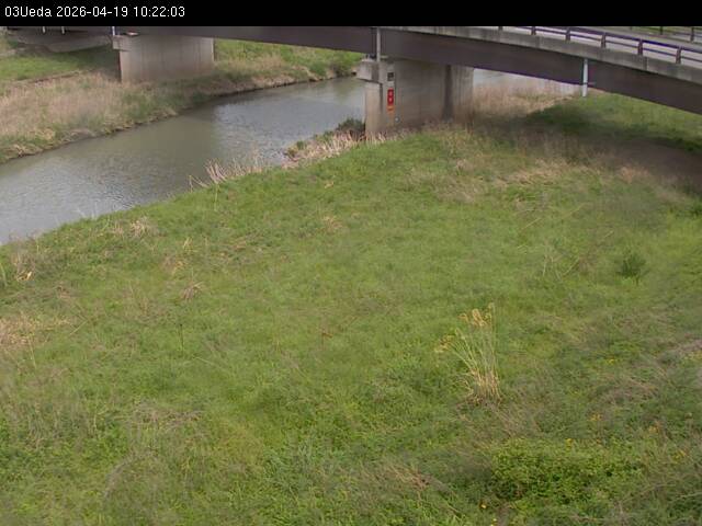 最新監視カメラ画像