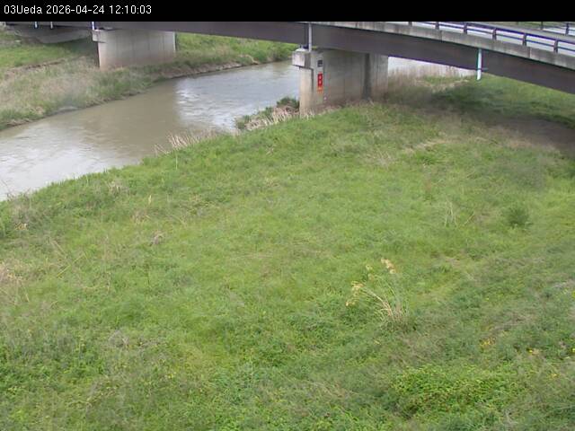 最新監視カメラ画像