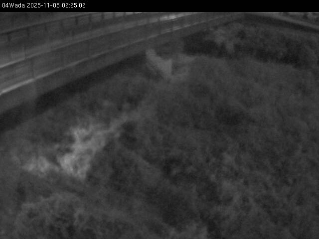 最新監視カメラ画像