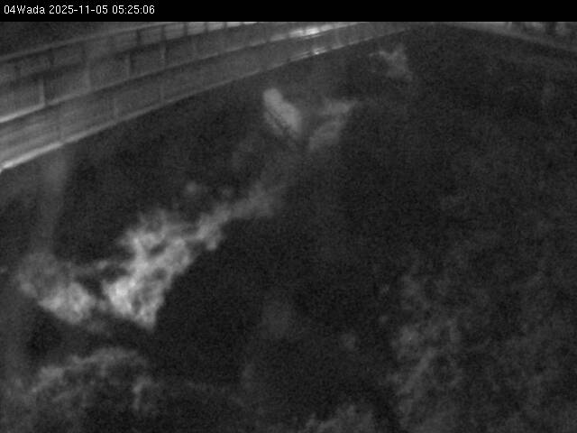 最新監視カメラ画像