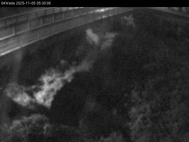 最新監視カメラ画像