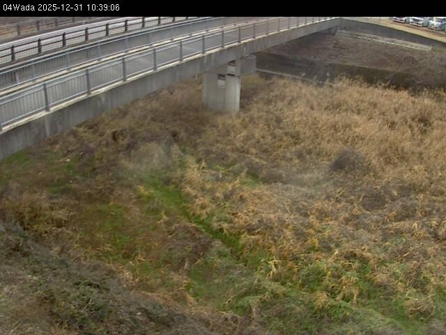 最新監視カメラ画像