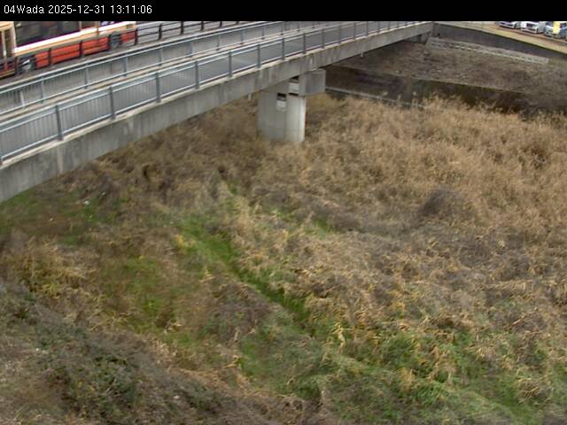 最新監視カメラ画像